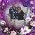 Shelly Roesler's profile image