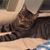 Michele Reich-Cvetkovic's profile image