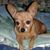 Barbara Webb's profile image
