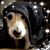 Dee Dee Kramer's profile image