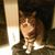 Anthony Padula's profile image