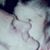 Marie McGann's profile image
