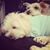 Gaby Melendez's profile image