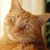 Maureen Mealey Forsythe's profile image