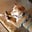 Melanie Leu's profile image