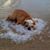 Dave Swenson's profile image
