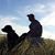Jonathan Metcalf's profile image