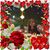 Jackie Doctolero's profile image