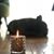 Juan Carlos Mosca's profile image