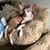 Melissa Clemons Russell's profile image