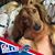 Diane Cox's profile image