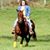 Elizabeth Hicks's profile image