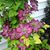 Diane Furst's profile image