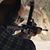 Philippe Moore's profile image