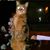 Donna Weidner's profile image