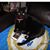 Barbara Bachelder's profile image