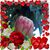 Herminia Gonzalez's profile image