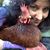 Amy Goularte Emrany's profile image