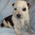 Emily Reyneke's profile image