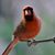 Sheri Taylor Finta's profile image
