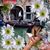 Tara Dewitt-Gilchrist's profile image