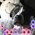 Lori Hagelgans Barton's profile image