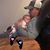 Susan Satterfield's profile image