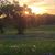 Arlene Hinojosa Brazell's profile image