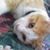 Jeffie-Marie Fowler's profile image