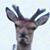 Howard Fenter's profile image
