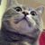 Maria Hernandez's profile image