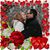 Adam Porter's profile image