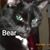 Shelley Peio's profile image
