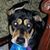Donna Lynn's profile image