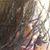 Kathryne Baxter's profile image