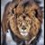 Jose Rivera's profile image