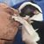 Gioacchino Iacono's profile image