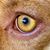 Jim Dow's profile image