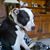 Margie Jednat's profile image
