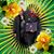 Alice R Burruss's profile image