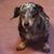 Melody Diane Pool's profile image