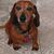 Karely Mora's profile image