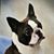 Melissa Dalton Pugh's profile image