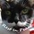 Cindy Denham's profile image