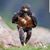 Valerie Regner Lopez's profile image