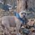 Lori Curry Seidel's profile image