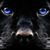 Tina Warden's profile image