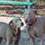 Susan Turner's profile image