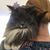 Kirsten Edwards's profile image