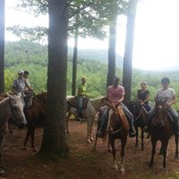 Mary Lou Hannon's profile image